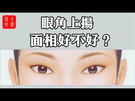 眼尾上揚面相女|【眼尾上揚面相女】眼尾上揚面相女：看透妳的魅力、桃花運和事。